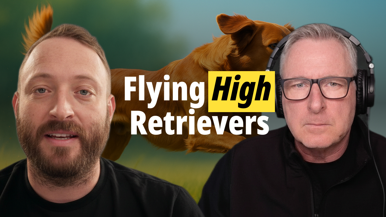 Flying High Retrievers | Building Champion Retrievers & A Digital Ecosystem